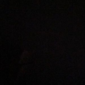 Meet your Posher, Eva